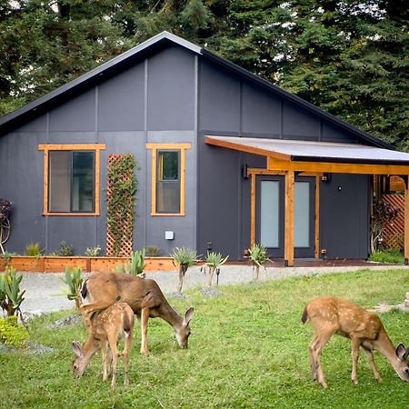 New, Modern, Country-Feel, Close To Arcata Esterno foto