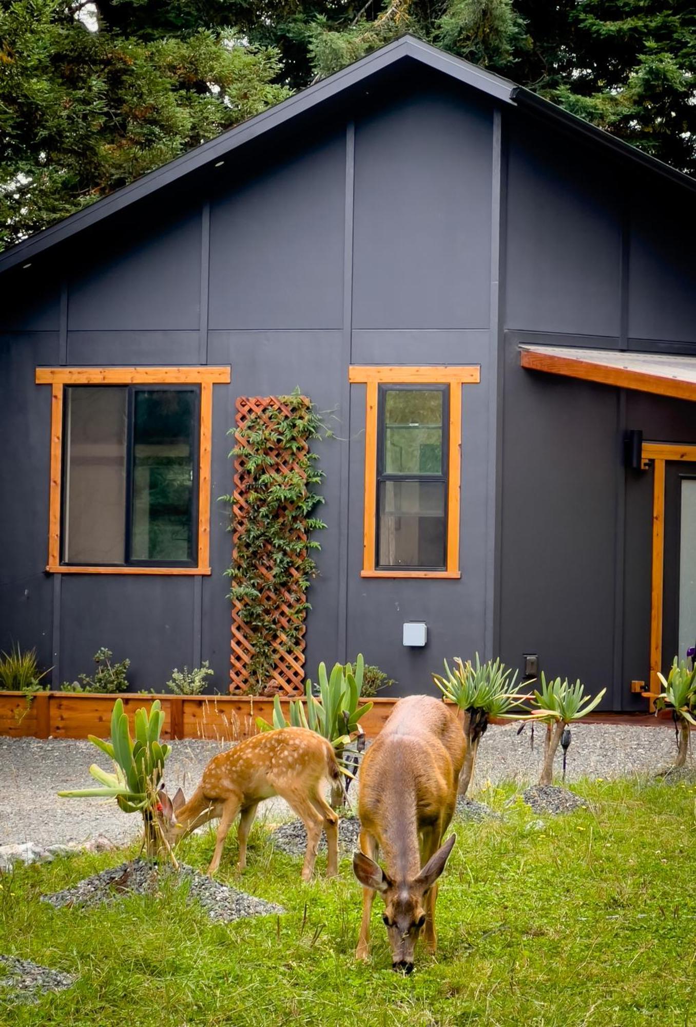 New, Modern, Country-Feel, Close To Arcata Esterno foto
