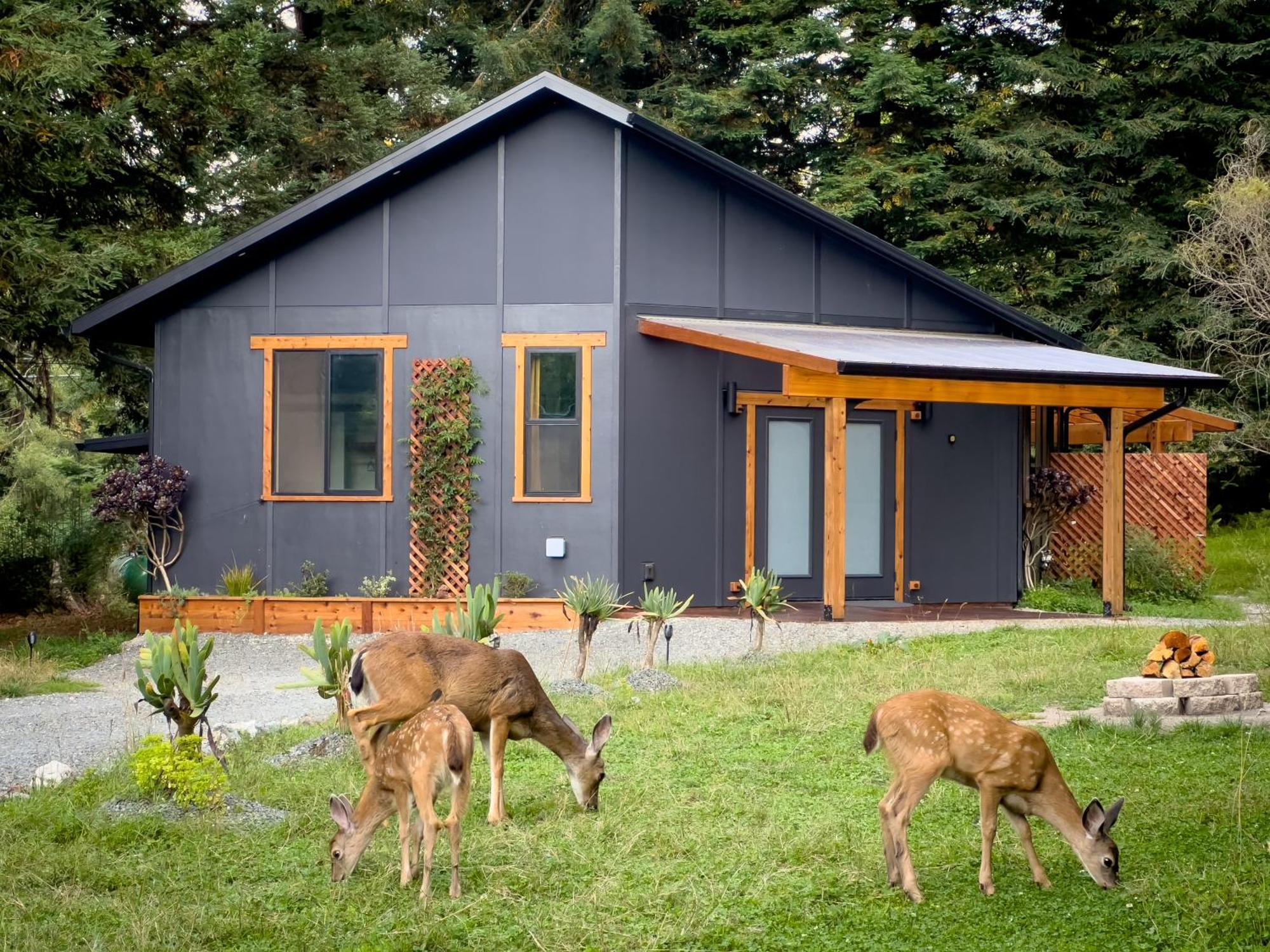 New, Modern, Country-Feel, Close To Arcata Esterno foto